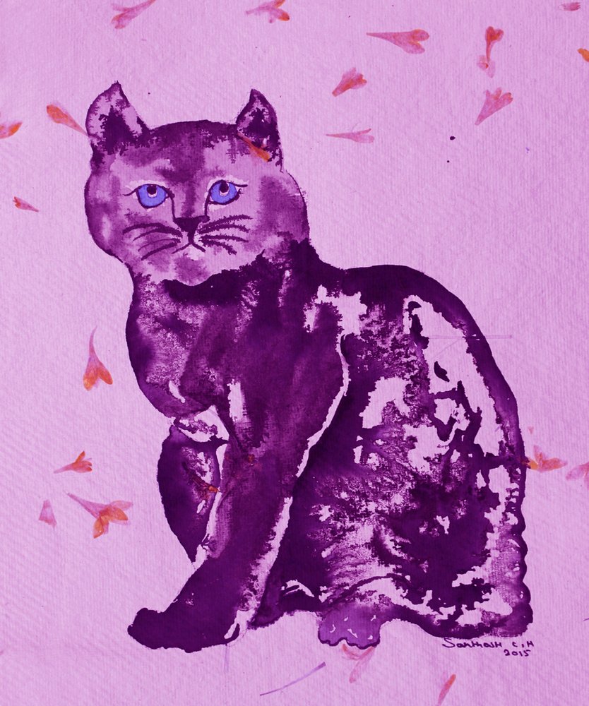 Lila Katze und Blütenblätter von Santhosh ch