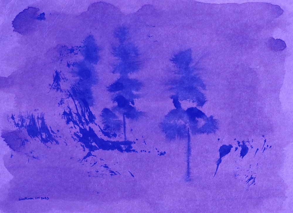 Violette Nebel-Kiefern von Santhosh ch