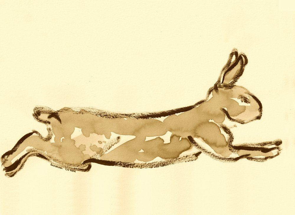 Laufende Hasenskizze von Santhosh ch