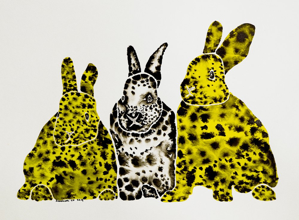 Gefleckte Leopardenkaninchen von Santhosh ch