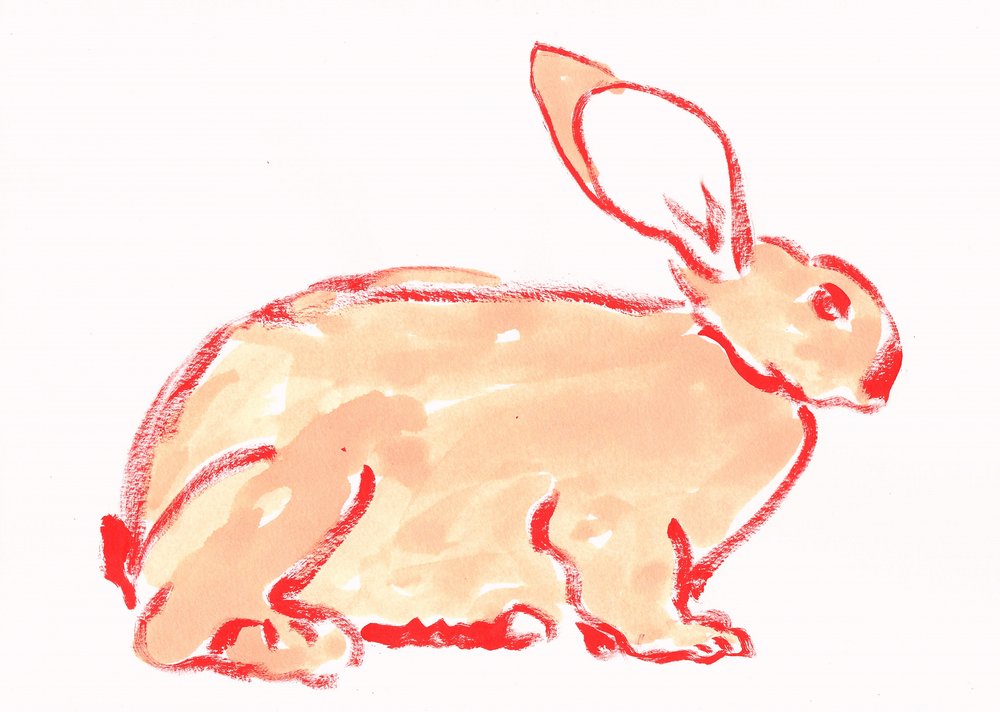 Warmer orangefarbener Hase von Santhosh ch
