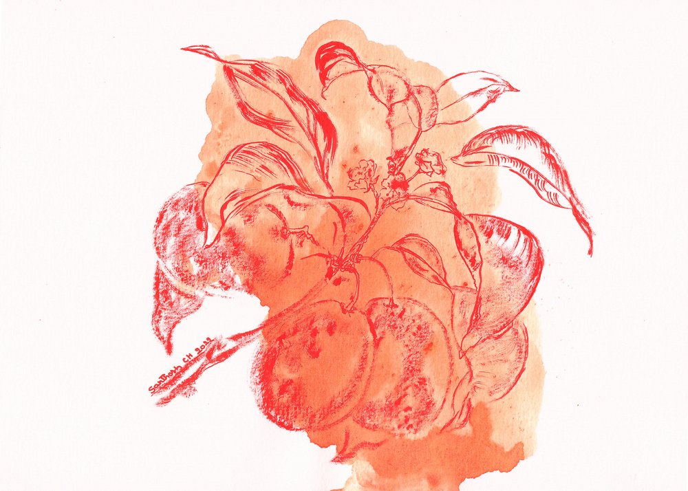 Aquarell-Pfirsichzweig von Santhosh ch