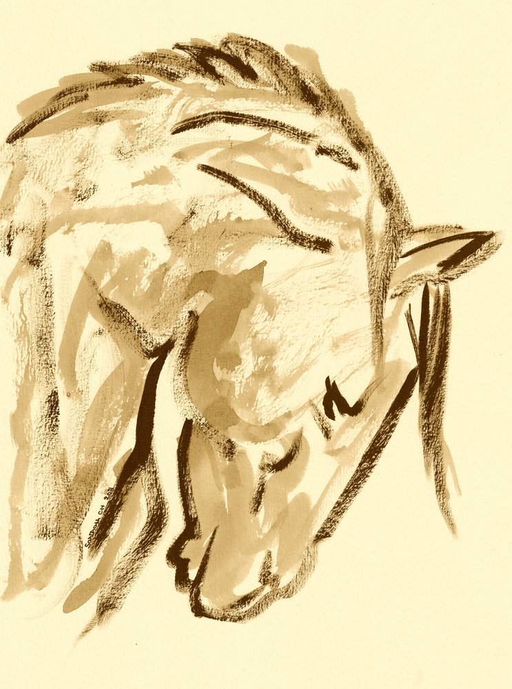Wilde Pferdeskizze von Santhosh ch
