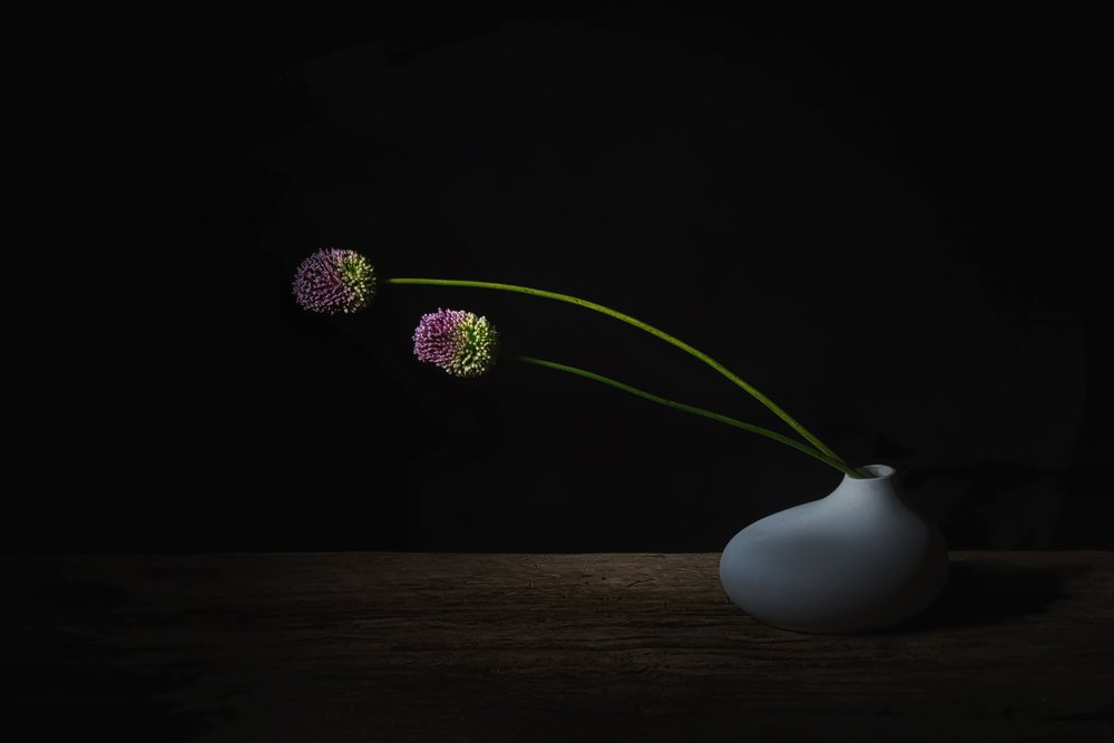 Dunkle Alliumblüten von Saskia Dingemans