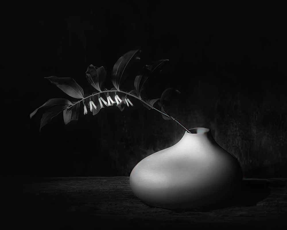 Dunkles Botanisches Stillleben von Saskia Dingemans