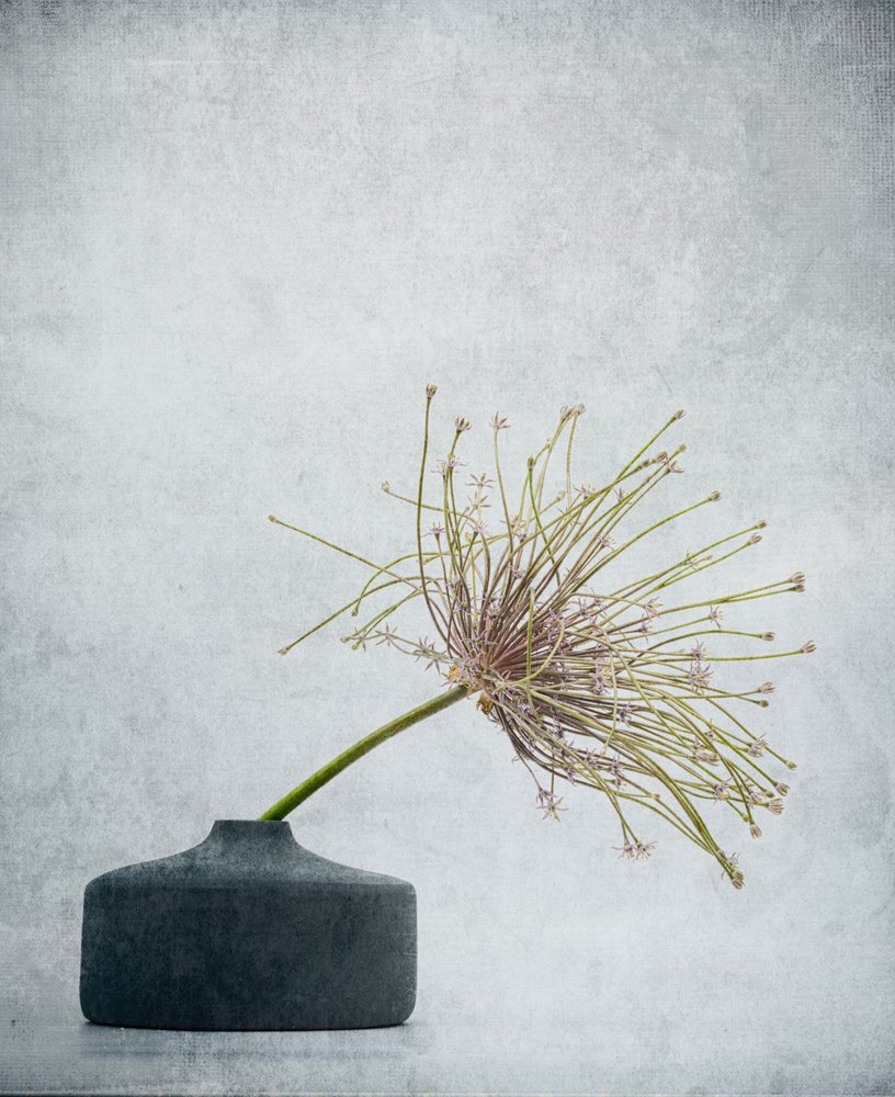 Zartes botanisches Stillleben von Saskia Dingemans