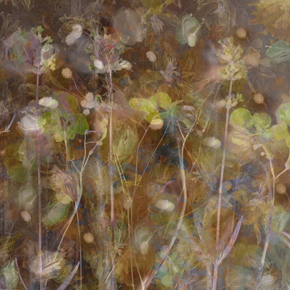 Ätherischer Botanischer Garten von Saskia Dingemans