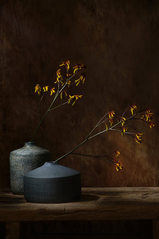 Stimmungsvolle botanische Vasen von Saskia Dingemans