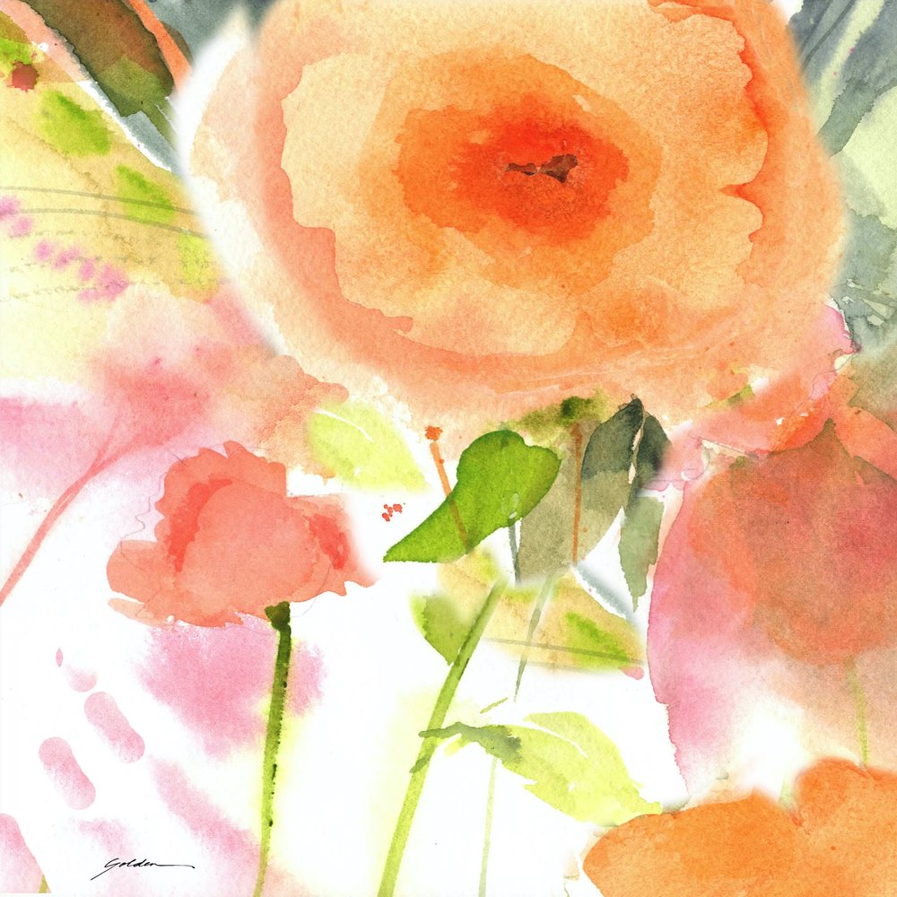 Sanfte Pfirsichblüten von Sheila Golden