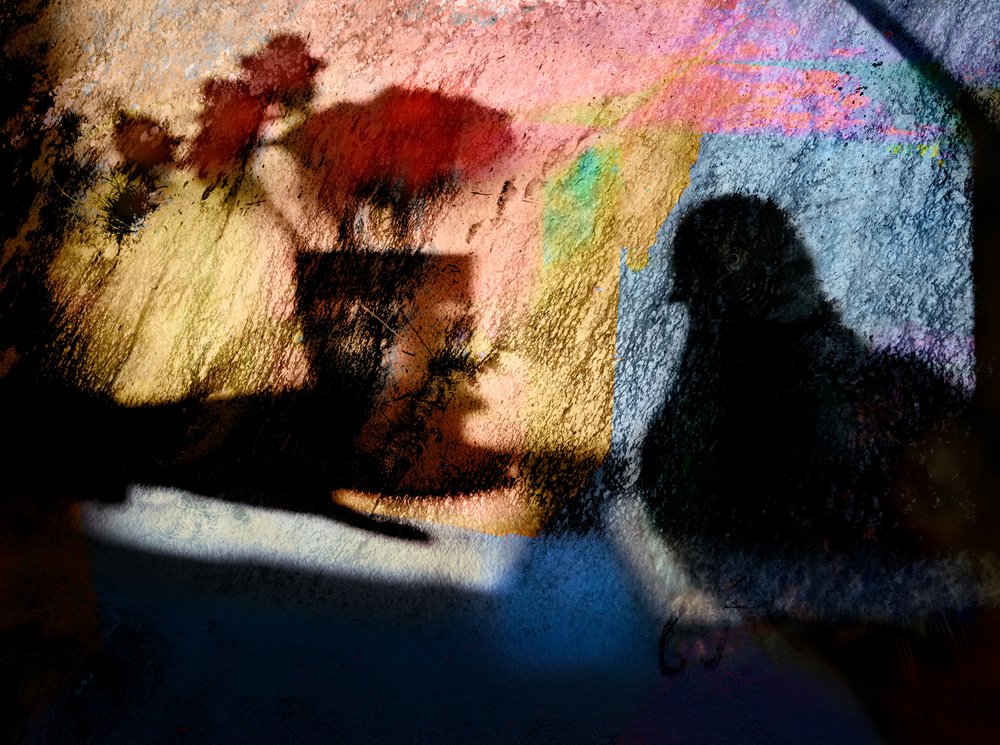 Farbenfrohe Vogelschatten von Shenshen Dou