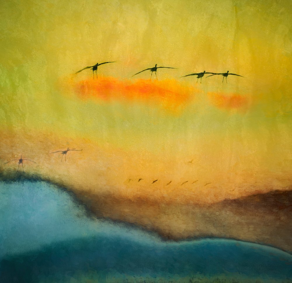 Goldene Stunde Vogel Flug von Shenshen Dou