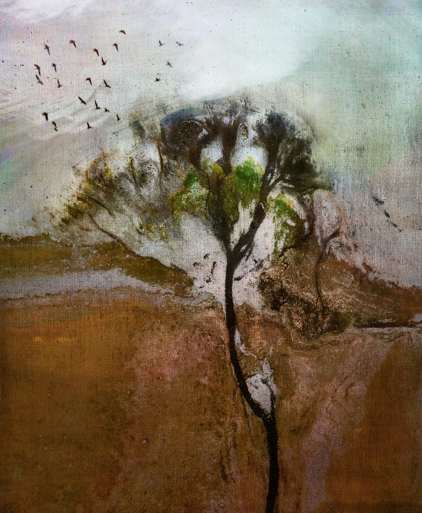 Vom Wind gepeitschte Baumlandschaft von Shenshen Dou