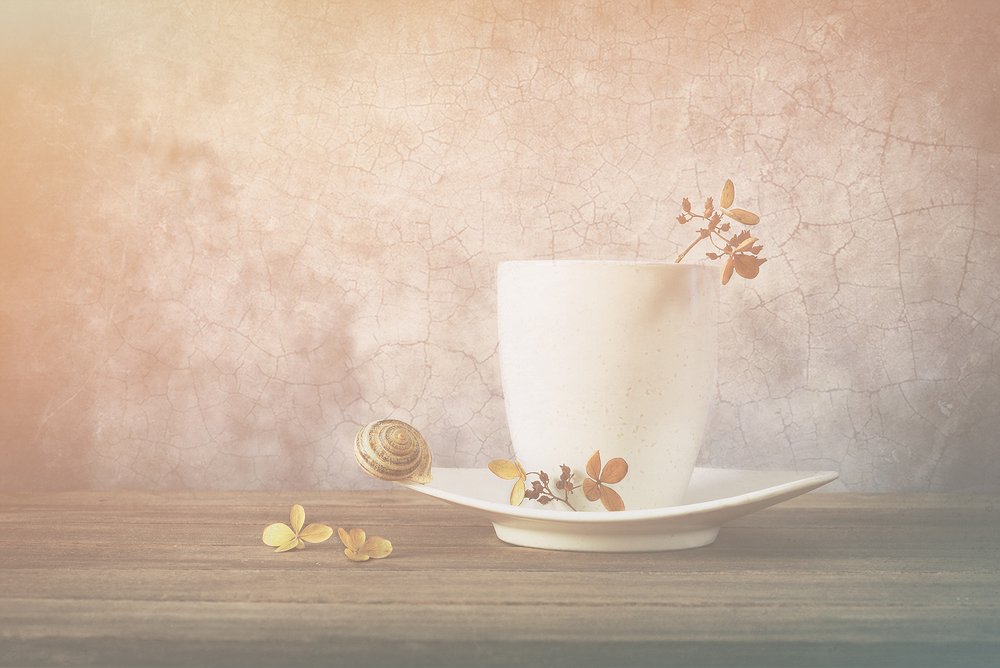 Ruhige Schnecke Teetasse von Sophie Pan