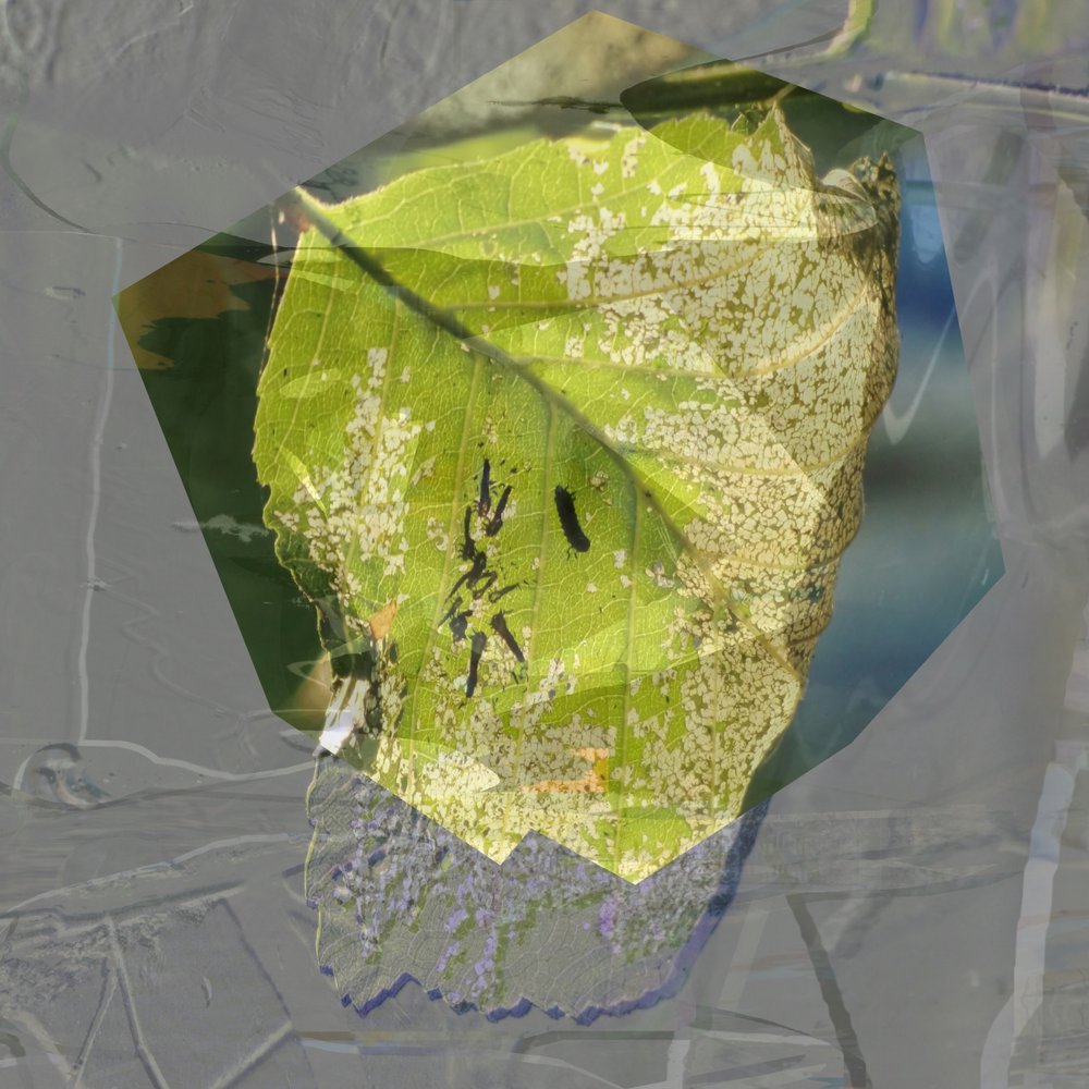 Abstraktes Grünes Blatt von Stefan Fransson