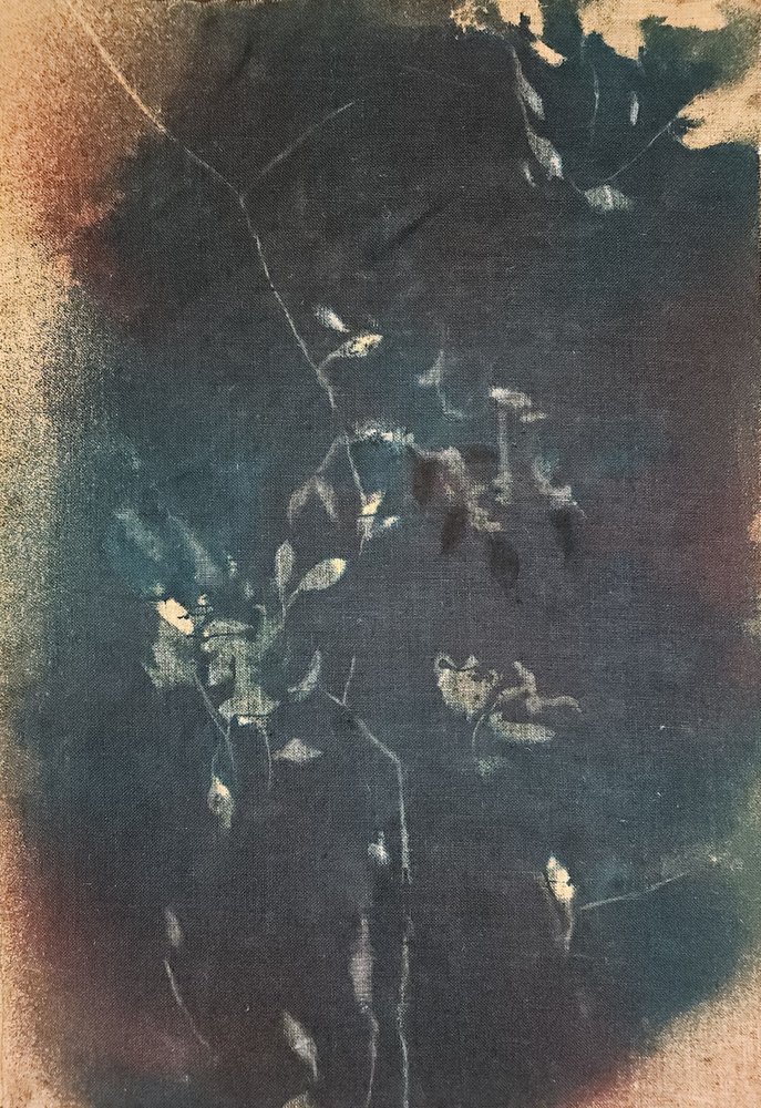 Dunkelblaue Botanicals von Stefano Mazzolini