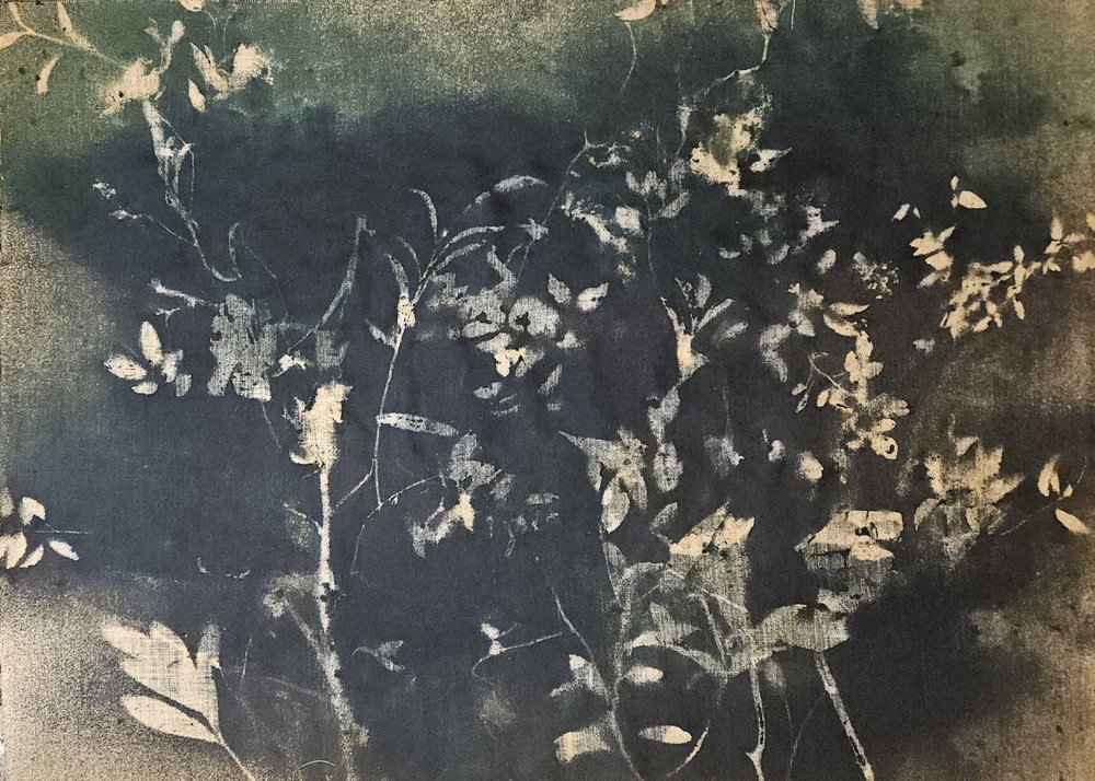 Dunkle botanische Silhouetten von Stefano Mazzolini