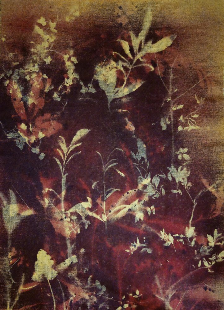 Dunkle Botanische Silhouetten von Stefano Mazzolini