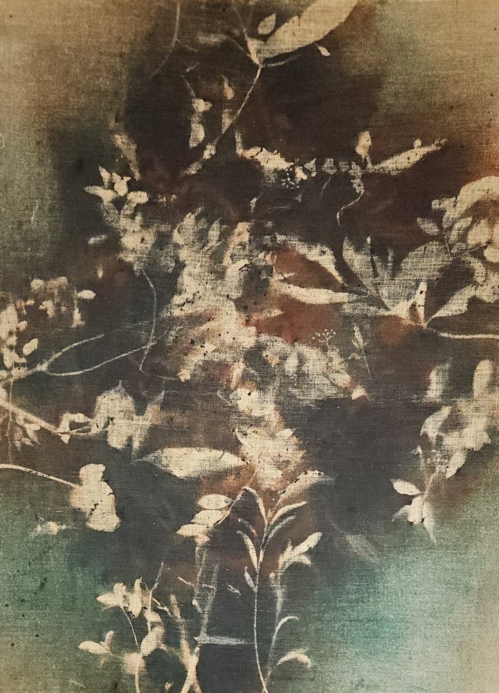 Dunkle ätherische Botanicals von Stefano Mazzolini