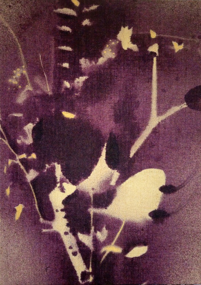 Tiefviolette Botanicals von Stefano Mazzolini