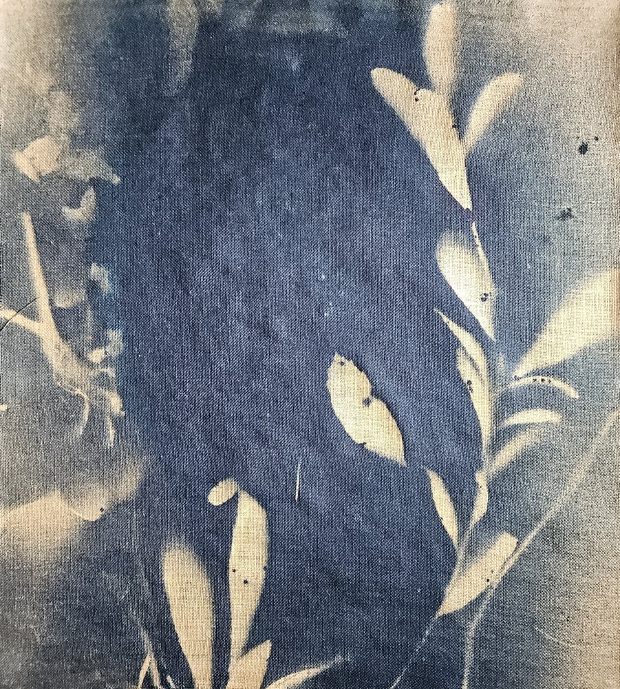 Indigo-Blatt-Impressionen von Stefano Mazzolini