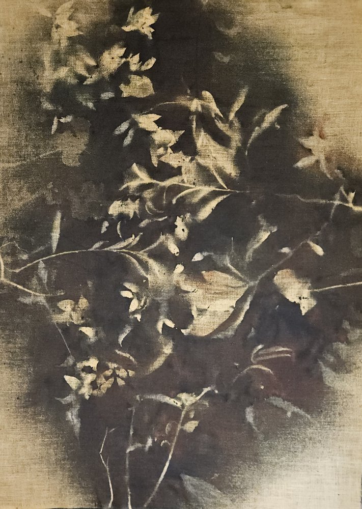 Stimmungsvolle Blütenschatten von Stefano Mazzolini