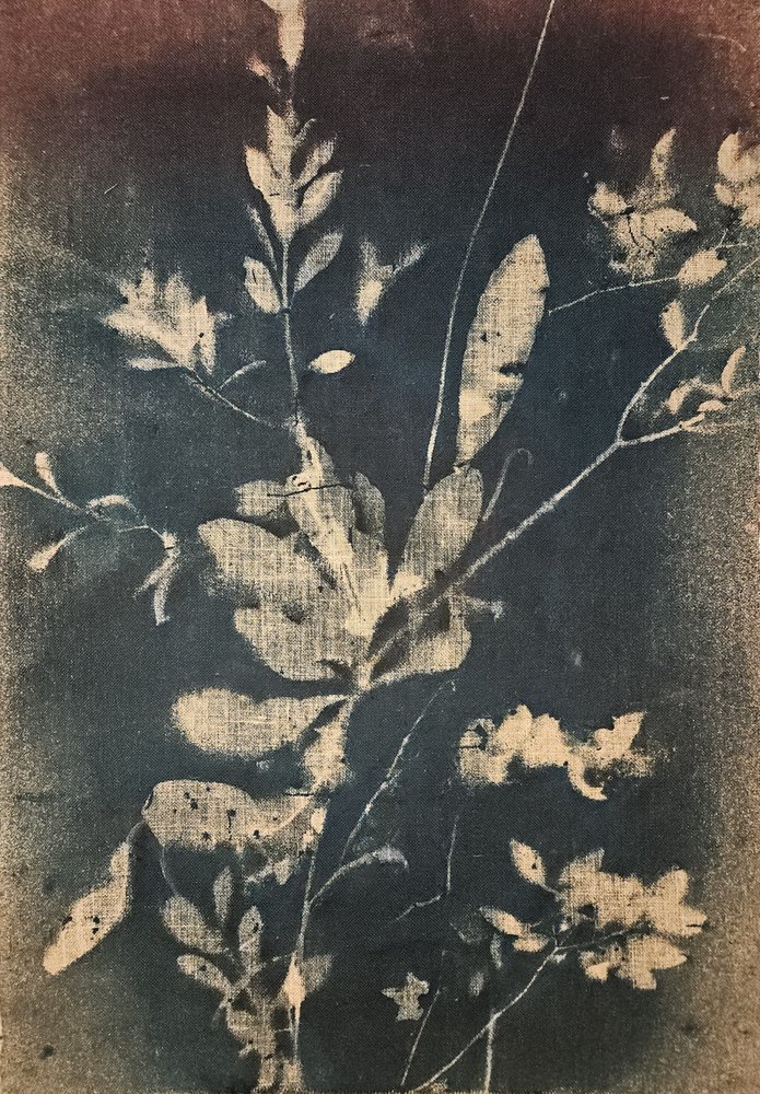 Vintage Blaue Botanicals von Stefano Mazzolini