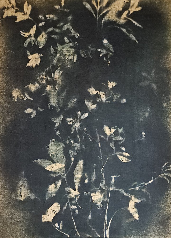 Vintage botanische Blätter von Stefano Mazzolini