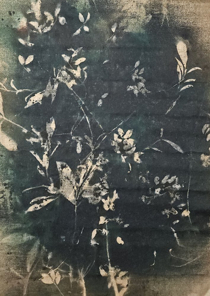 Vintage botanische Silhouetten von Stefano Mazzolini