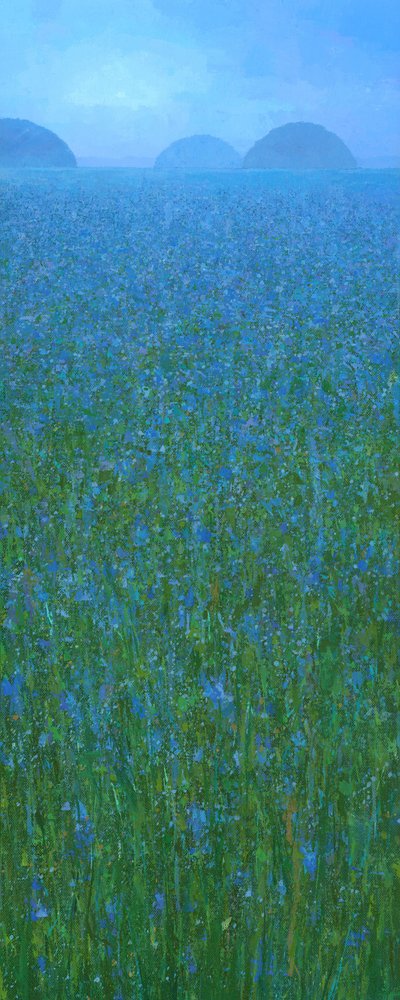 Blaues Feld ferne Hügel von Steve Mitchell