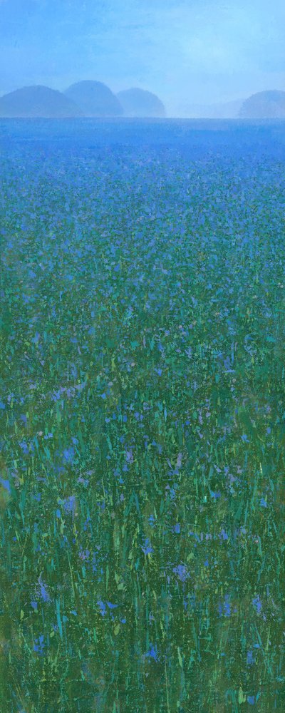 Neblige Wiesenblüte von Steve Mitchell