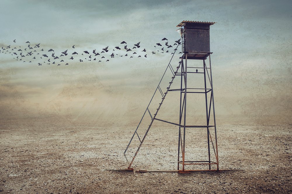 Vögel über einsamem Wachturm von Sulaiman Almawash