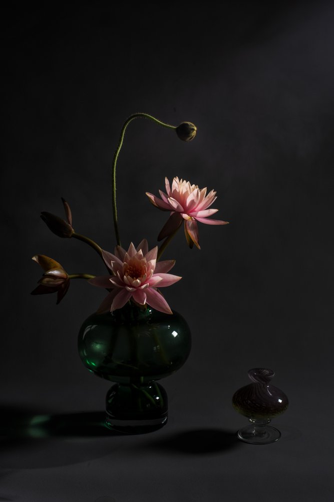Elegante rosa Lilien von Summer2016