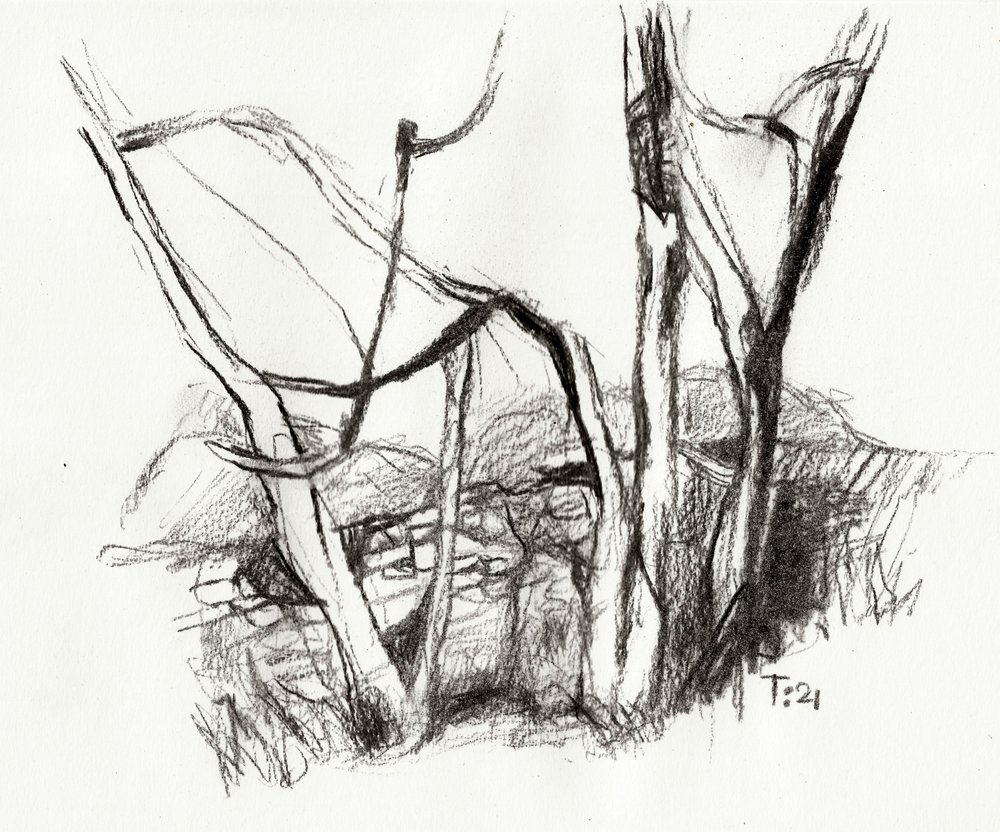 Karger Wald Skizze von Tore Bahnson