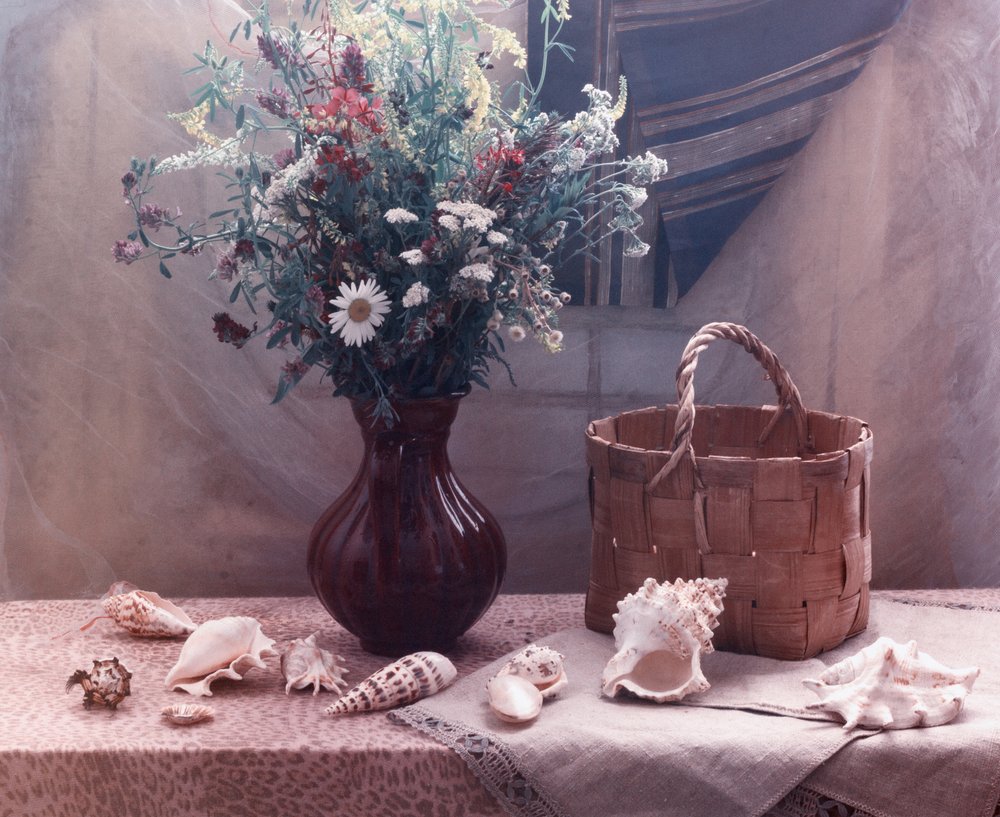 Wildblumen und Muscheln Stillleben von UstinaGreen