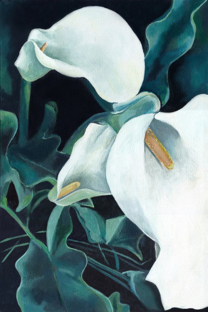 Elegante weiße Calla-Lilien von Viccy Wanliss