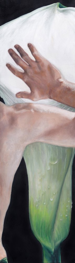 Hand Berührt Calla-Lilie von Viccy Wanliss