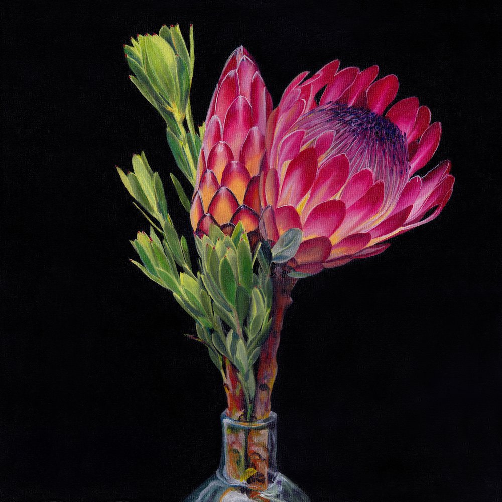 Rosa Protea-Vase von Viccy Wanliss