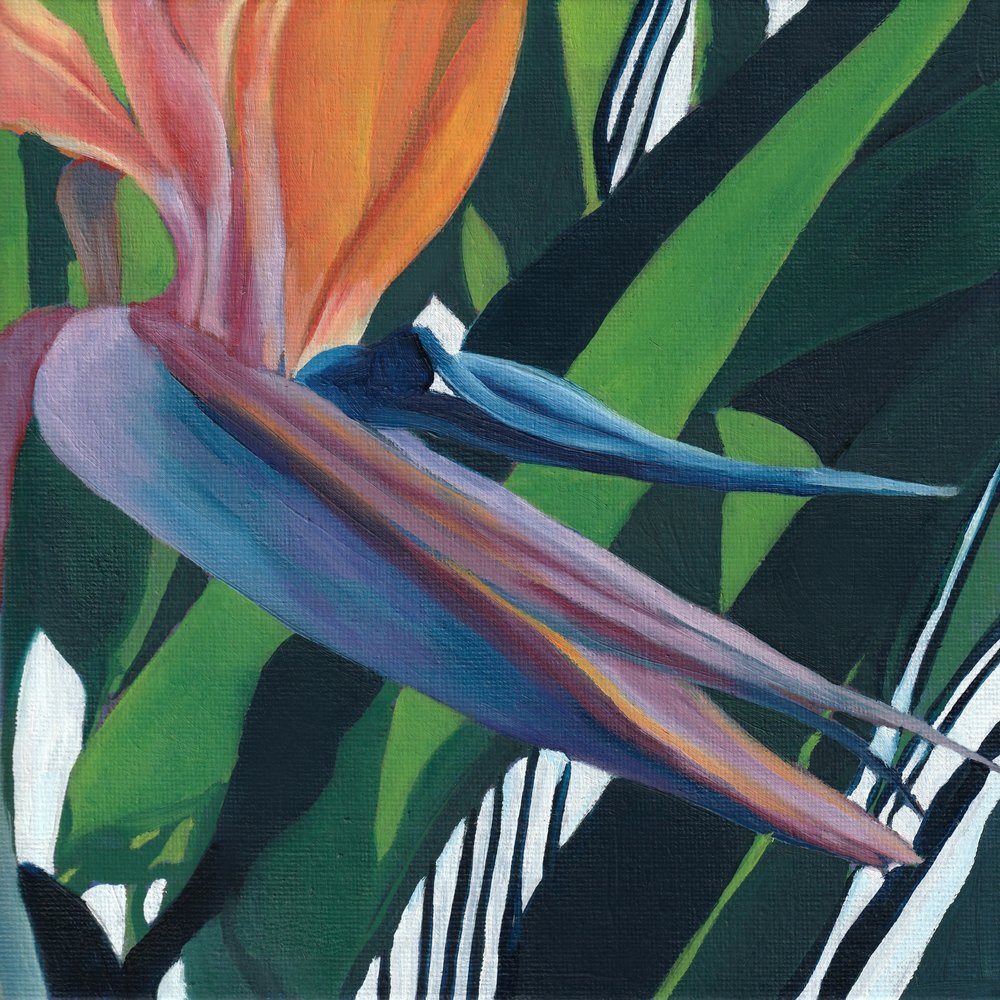 Lebendiger Paradiesvogel von Viccy Wanliss