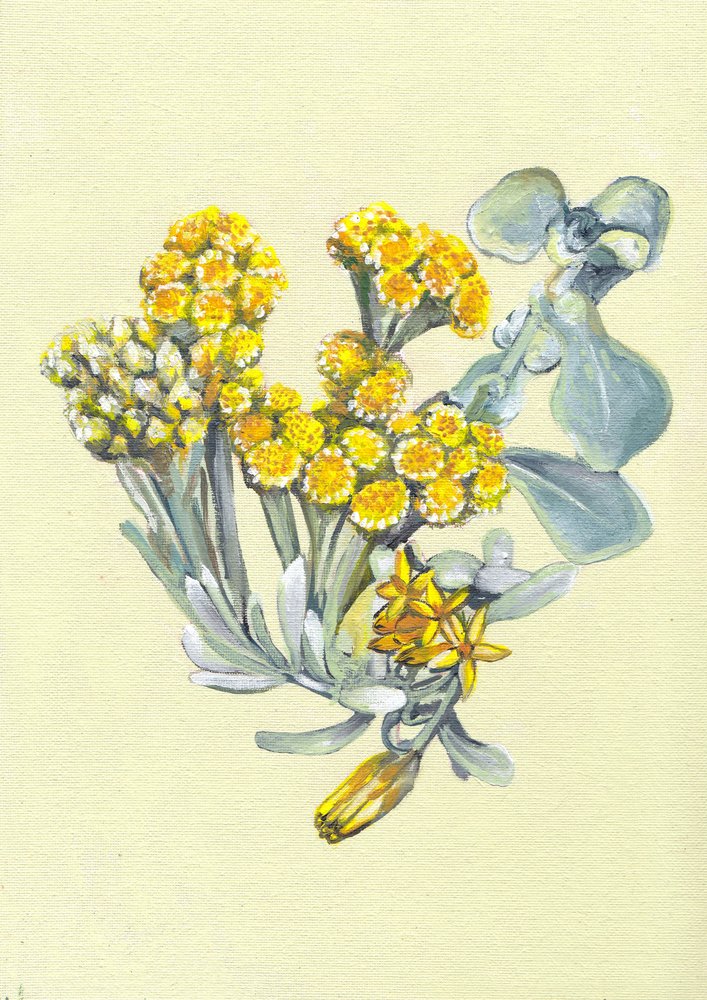 Lebendige gelbe Blumen von Viccy Wanliss