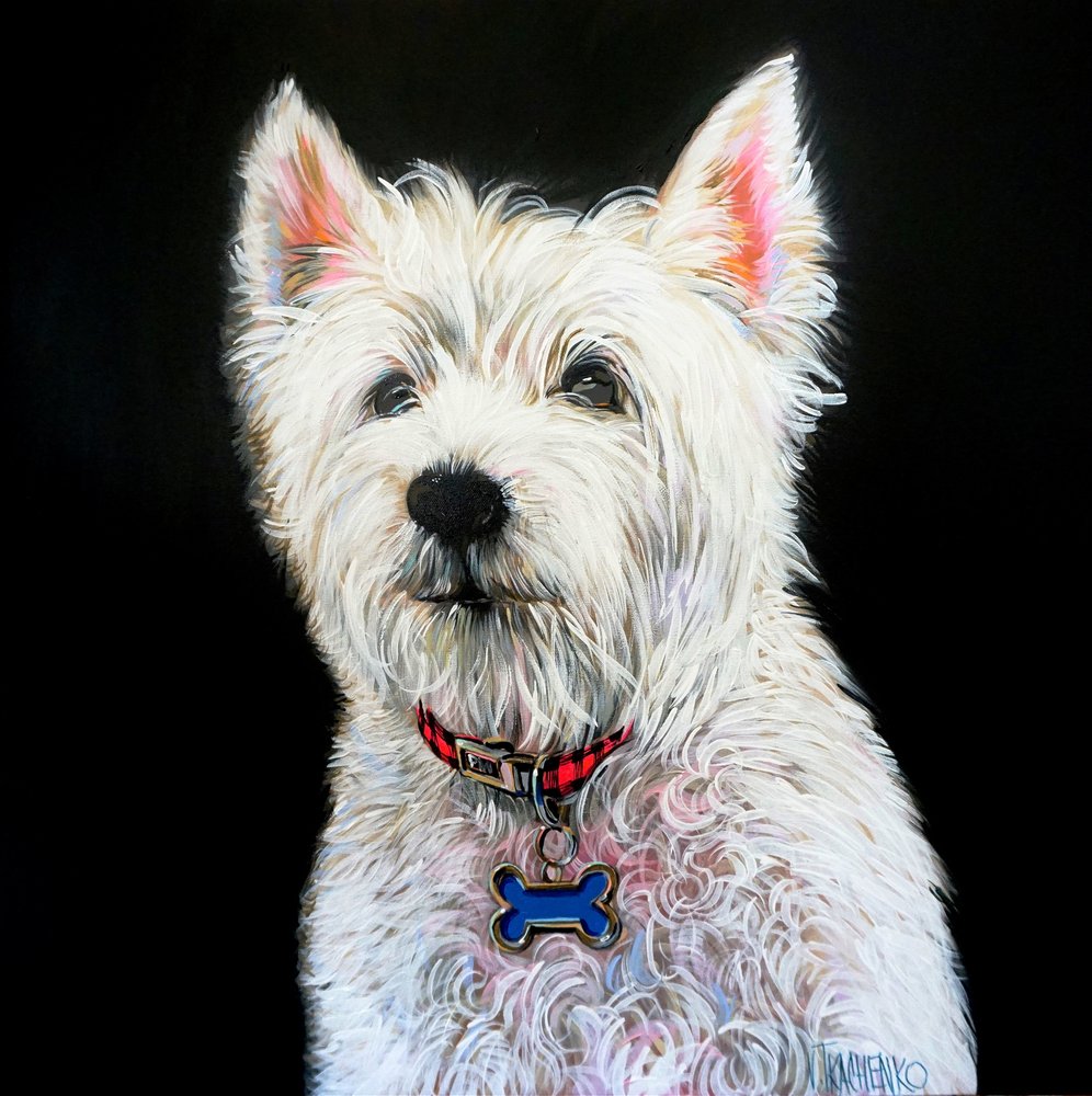 Charmantes Westie-Porträt von Victor Tkachenko