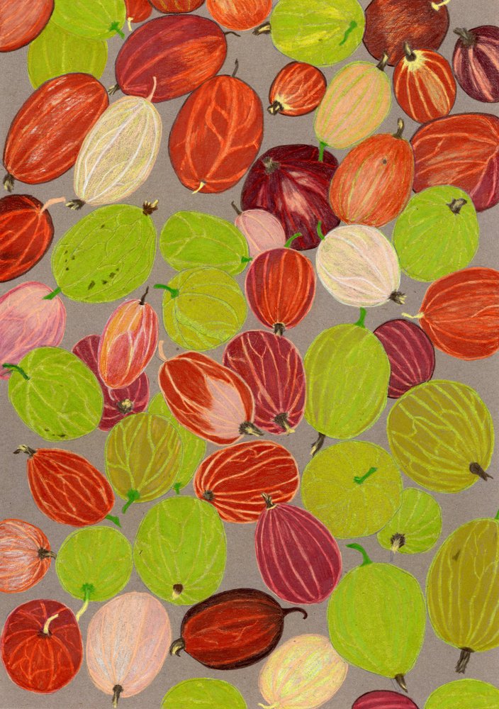 Farbenfrohe Stachelbeeren von Viktoriia Saunina