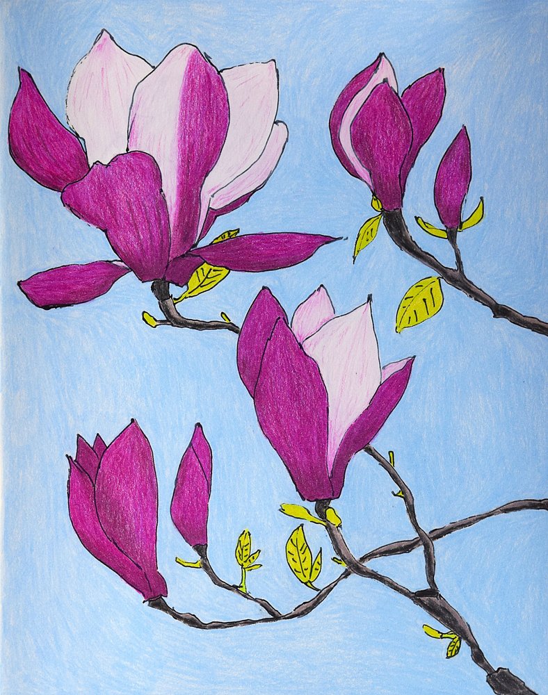 Violette Magnolienblüten von Viktoriia Saunina