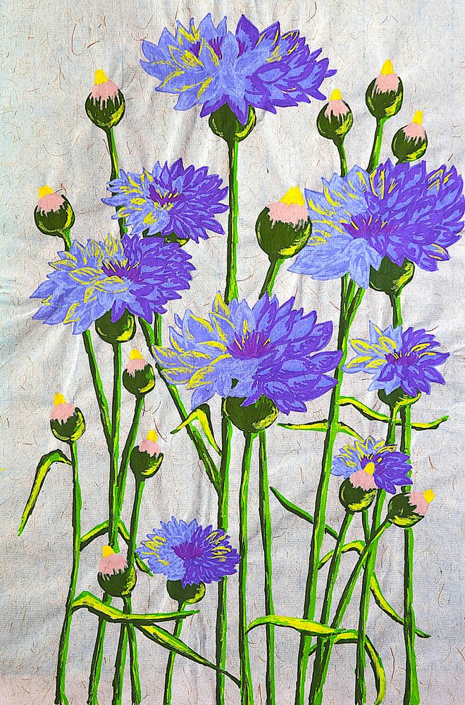 Lebendige blaue Kornblumen von Viktoriia Saunina
