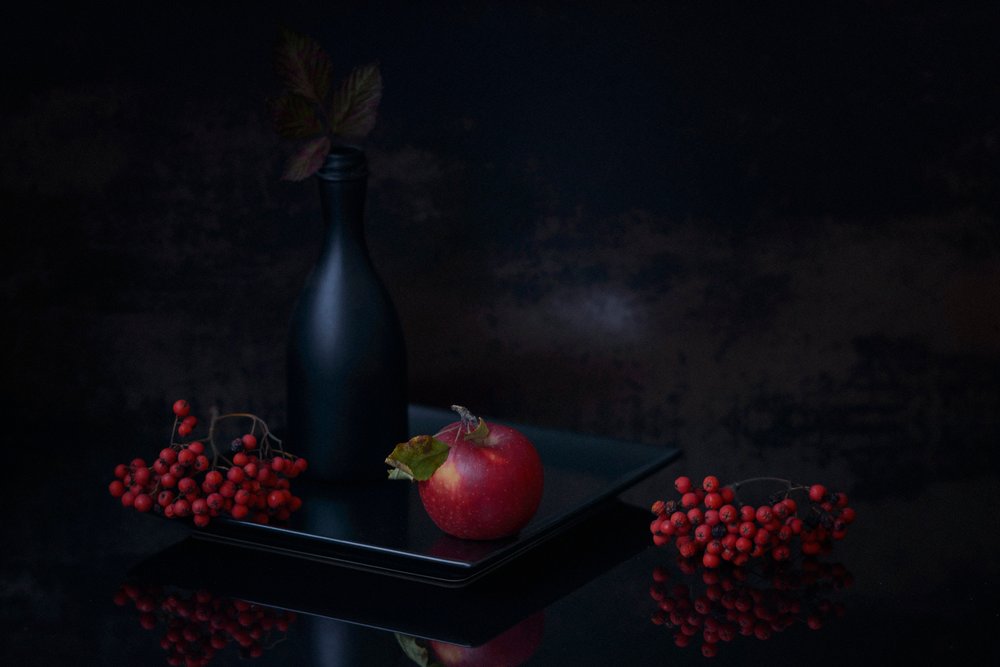 Dunkles Herbststillleben von Vladimir Pavlovskyy