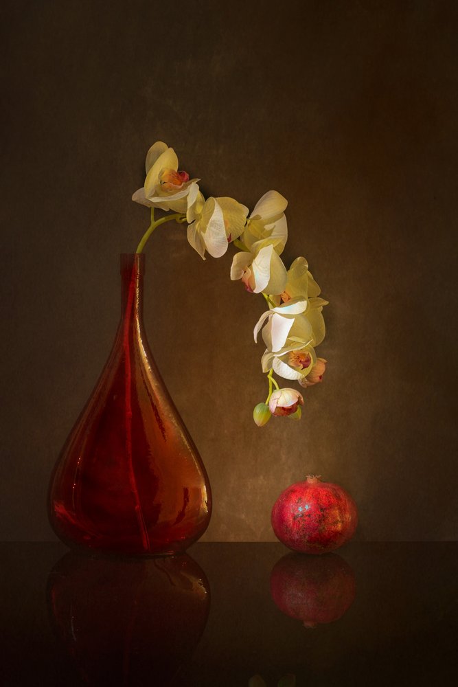 Stimmungsvolle Orchidee und Granatapfel von Wendy Xu