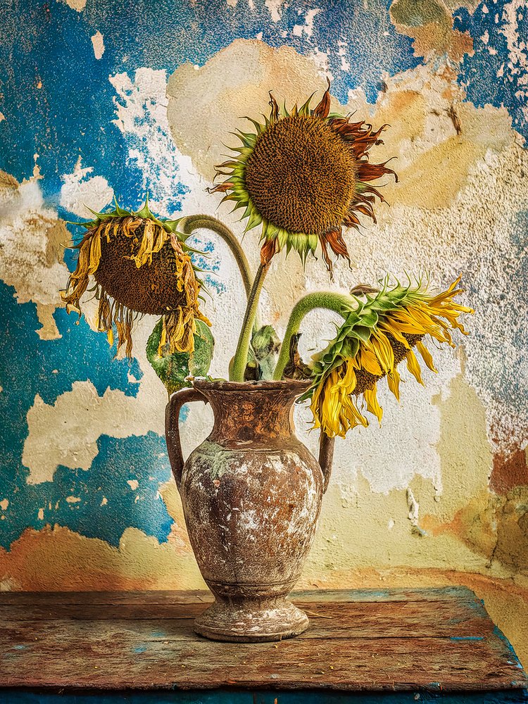 Verwelkte Sonnenblumen-Stillleben von Yasutaka Sameshima