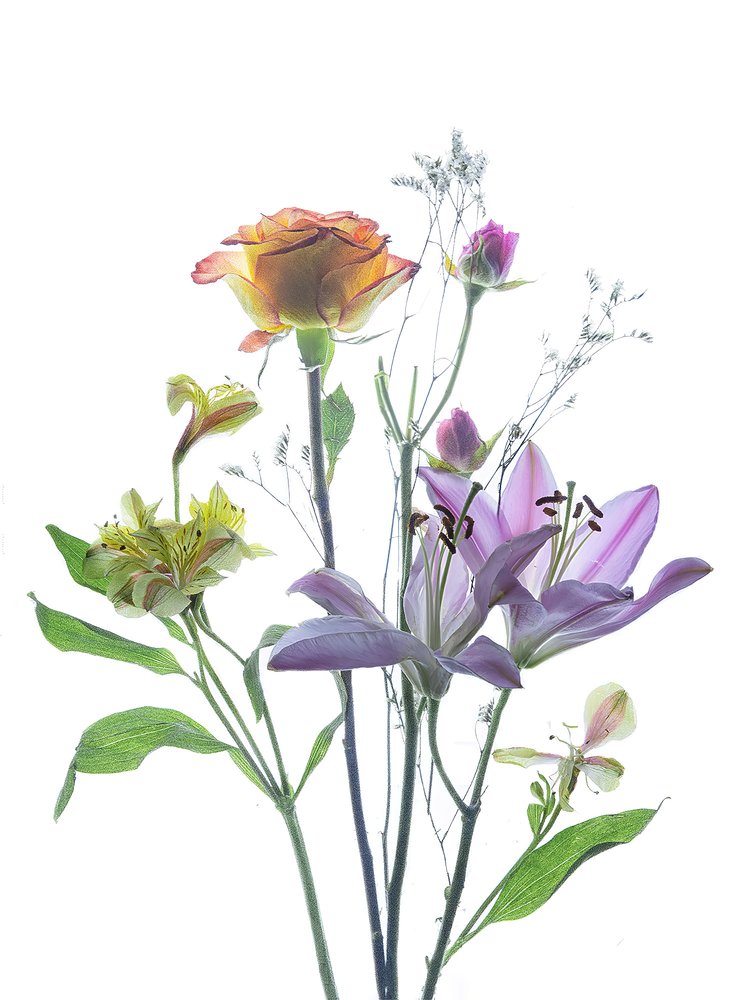 Transparente Blumenpracht von Yun Thwaits