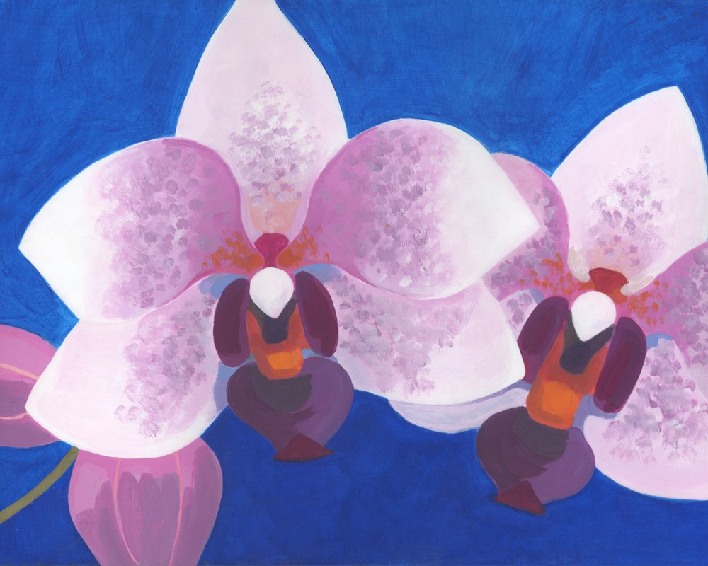 Rosa Orchideen Umarmung von Yvonne Gustafsson