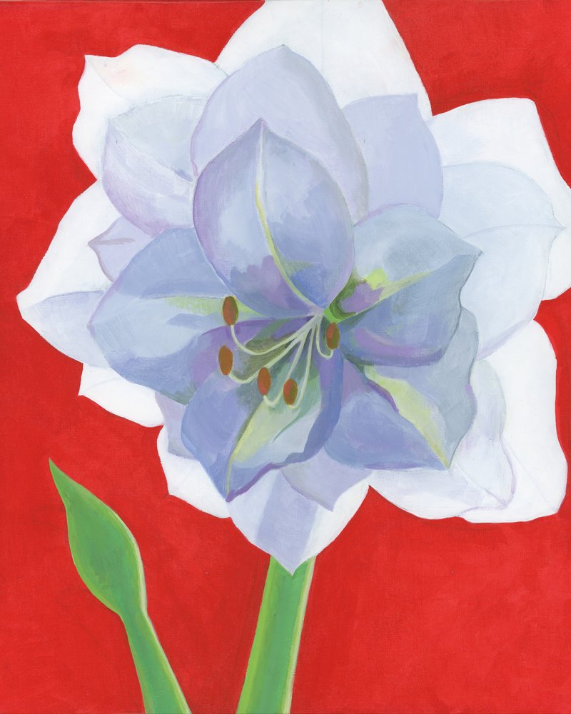 Lebendige Amaryllis Blüte von Yvonne Gustafsson