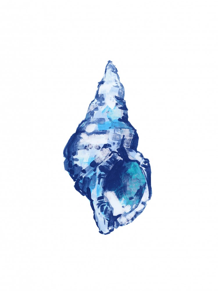 Abstrakte blaue Muschel von cartissi